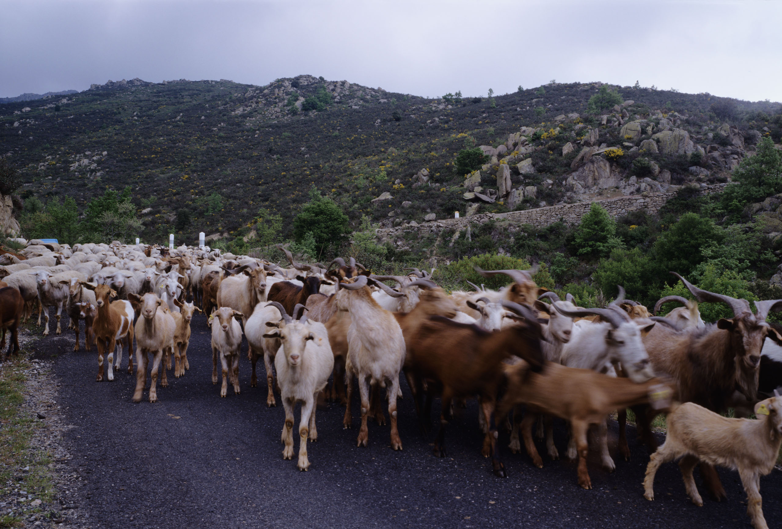 Hl06014 hlFrance 04 10 j2560